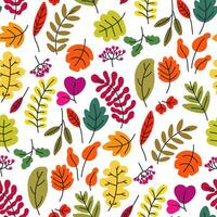 Herbst Blätter und Laub, Beeren und Botanik vektor