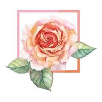 ein rahmen aus orange rose aquarell vektor