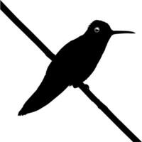 thront Kolibri Silhouette, können verwenden Kunst Illustration, Webseite, Logo Gramm, Piktogramm oder Grafik Design Element. Vektor Illustration