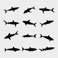 Haie Set illustriert auf weißem Hintergrund vektor