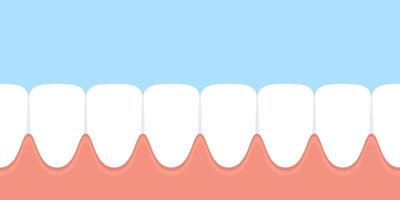 Reihenzähne und Zahnfleisch im Mund vektor