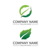 logotyper av grönt träd blad ekologi design natur logotyp vektor