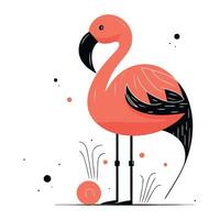 flamingo fågel vektor illustration. flamingo platt stil.