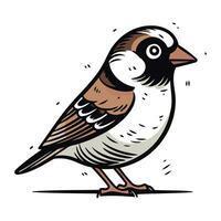 Spatz. Vektor Illustration von ein Vogel auf ein Weiß Hintergrund.