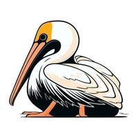 pelikan på en vit bakgrund. vektor illustration av en pelikan.