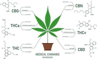 fördelarna med hälsosam marijuana lämnar cannabinoid 101 infographic vektor