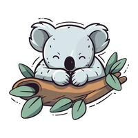süß Koala Schlafen auf Eukalyptus Ast. Vektor Illustration.