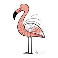 flamingo. vektor illustration av en flamingo på en vit bakgrund.