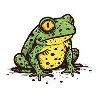 Frosch. Hand gezeichnet Vektor Illustration. isoliert auf Weiß Hintergrund.