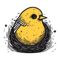 Hand gezeichnet Vektor Illustration von ein süß wenig Vogel im ein Nest.