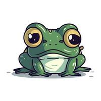 süß Karikatur Frosch. Vektor Illustration. isoliert auf Weiß Hintergrund.