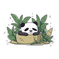 süß Panda Sitzung auf ein Stein im das Dschungel. Vektor Illustration.