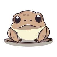 Frosch isoliert auf Weiß Hintergrund. süß Karikatur Frosch. Vektor Illustration.