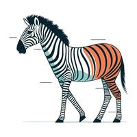 zebra. vektor illustration av en zebra på vit bakgrund.