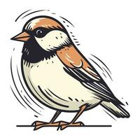 Spatz. Vektor Illustration von ein Vogel auf ein Weiß Hintergrund.