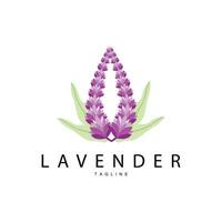 Lavendel Logo, Hand gezeichnet Hochzeit Pflanze Design, Vektor Lavendel Pflanze Parfüm Illustration Design