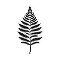 Silhouette von Farn Pflanze isoliert Symbol Vektor Illustration desing