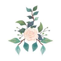 süße Rose mit Zweigen und Blättern isolierte Symbol vektor