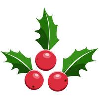 Stechpalme Beere Weihnachten Symbol Vektor Illustration