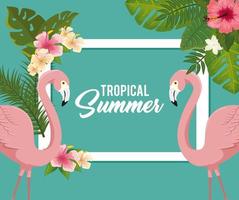tropisches Sommerplakat mit Flamingos und Blumen vektor