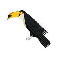 toucan djur exotiska isolerade ikon vektor