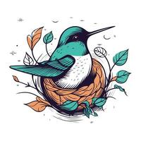 Hand gezeichnet Vektor Illustration von ein Kolibri Sitzung im ein Nest.