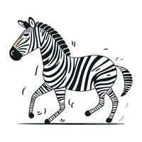 Zebra. Vektor Illustration. isoliert auf ein Weiß Hintergrund.