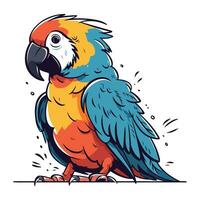 färgrik ara papegoja på vit bakgrund. vektor illustration.