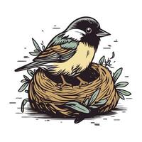 Illustration von ein Vogel im ein Nest. Hand gezeichnet Vektor Illustration.