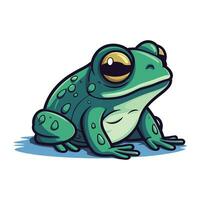 Karikatur Frosch. Vektor Illustration. isoliert auf Weiß Hintergrund.