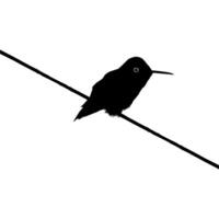 uppflugen kolibri silhuett, kan använda sig av konst illustration, hemsida, logotyp gram, piktogram eller grafisk design element. vektor illustration