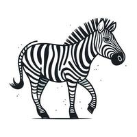 Zebra. Hand gezeichnet Vektor Illustration isoliert auf ein Weiß Hintergrund.