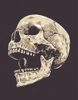 Anatomisk Grunge Skull vektor