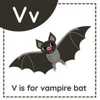Lernen des englischen Alphabets für Kinder. Buchstabe v. niedliche Cartoon-Vampir-Fledermaus. vektor