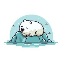 Polar- Bär im das Wasser. süß Karikatur Vektor Illustration.