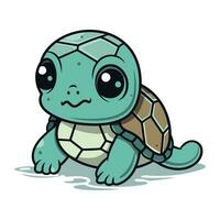 süß Baby Schildkröte. Vektor Illustration von ein süß Baby Schildkröte.