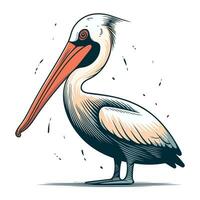 pelikan fågel. vektor illustration av en pelikan fågel.