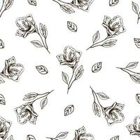 sömlös mönster av hand dragen hibiskus. svartvit blomma klotter. svart och vit årgång element. vektor skiss. detaljerad retro stil.