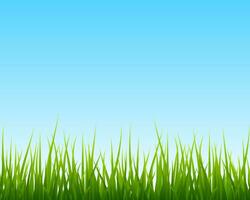 wenig Grün Gras, Blau Himmel nahtlos Hintergrund vektor