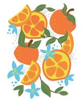 abstrakt retro texturerad affisch med orange frukt och blomma i modern stil. teckning skiva av apelsiner med blå blomma. vektor illustration