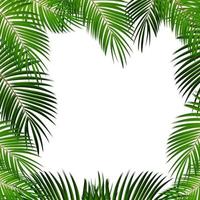 palmblad på vit bakgrund med plats för din text vektor
