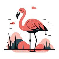flamingo platt illustration. flamingo vektor illustration. flamingo ikon.