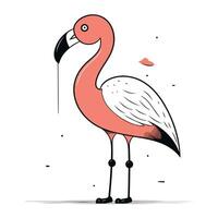flamingo fågel vektor illustration. hand dragen klotter stil.