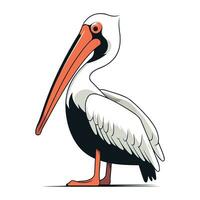 Pelikan Vogel isoliert auf Weiß Hintergrund. Karikatur Vektor Illustration.