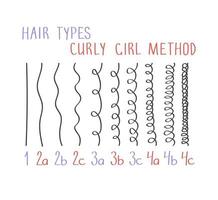 hårtyper med alla curl -typer märkta. lockigt tjej metod koncept vektor