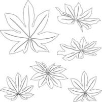 linje konst aralia löv tropisk växter isolerat på vit bakgrund vektor