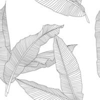 Banane Palme Blätter Muster Linie Kunst zum schmücken Ihre Designs mit tropisch Illustration isoliert auf Weiß Hintergrund vektor