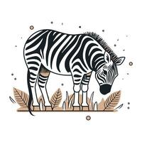 zebra i de djungel. hand dragen vektor illustration i årgång stil.