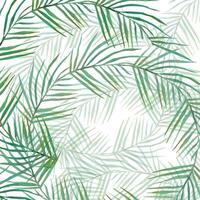 tropisk grön bakgrund. sommar bakgrund med grön grenar. element av blommig design. perfekt för bröllop inbjudningar, hälsning kort, bloggar, posters och Mer vektor