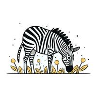 Zebra im das Gras. Vektor Illustration von ein Zebra.